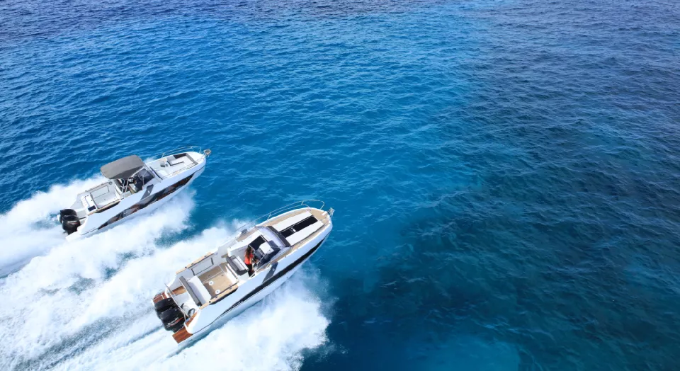 海月ページ 海月大全 A1ポスター – 株式会社ザ・アクセス-TheACCESS-