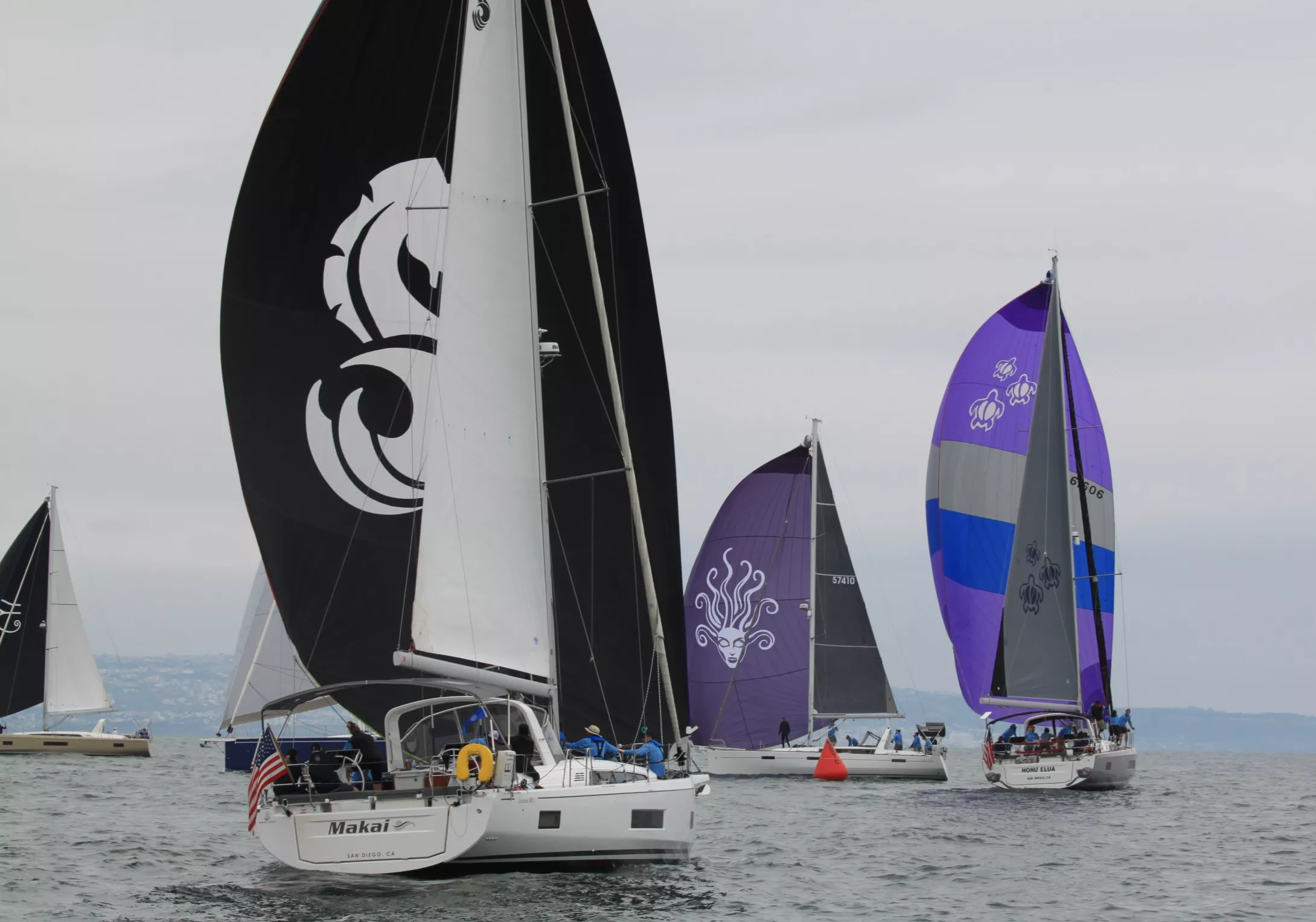 San Diego Cup