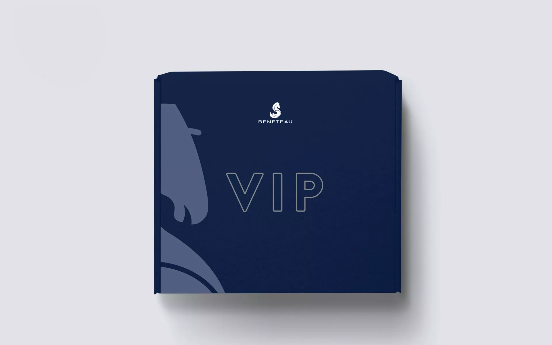 BNT_mockup-coffret-VIP-ok
