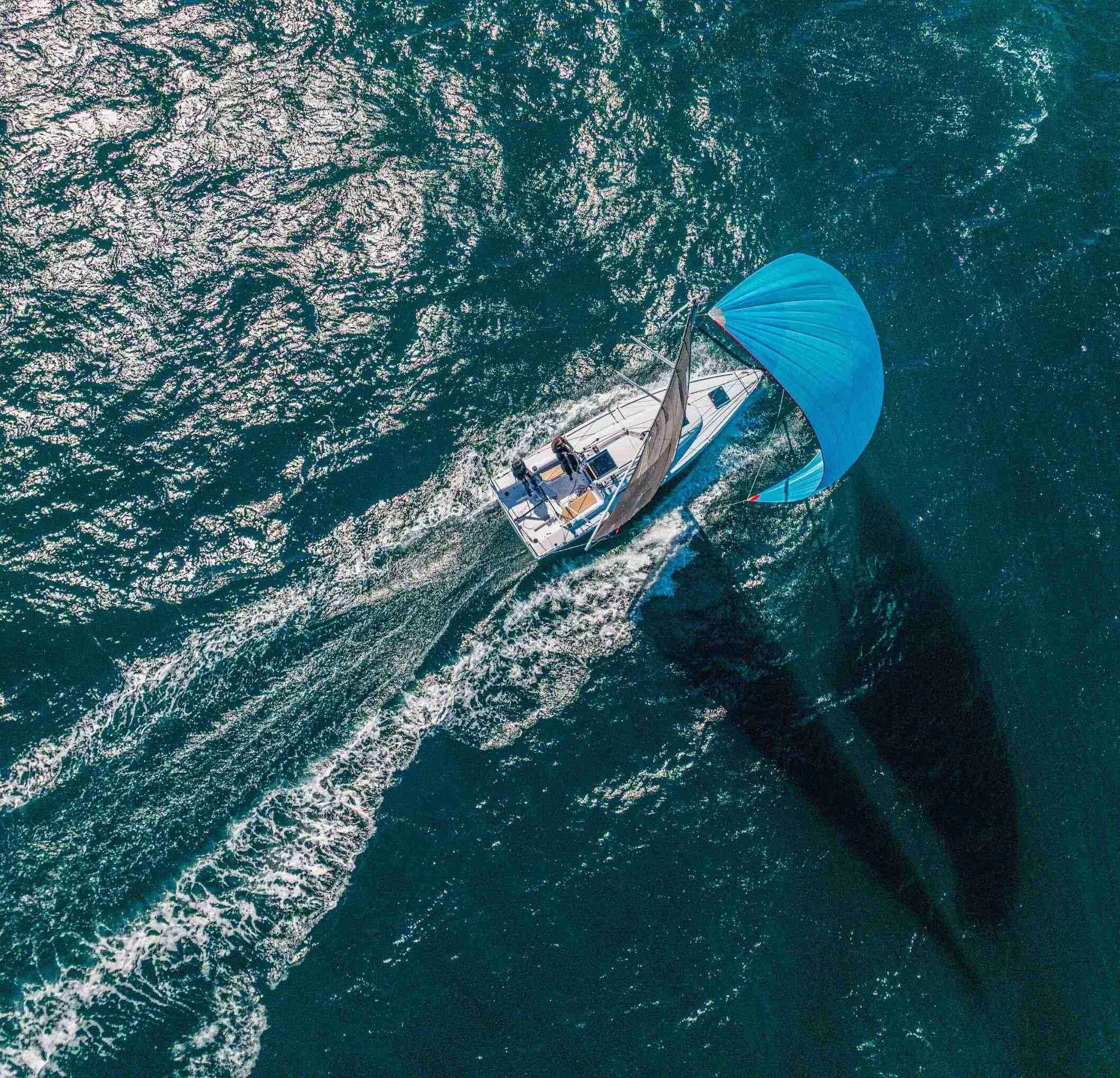 illu-first-30-cruiser-2026-03